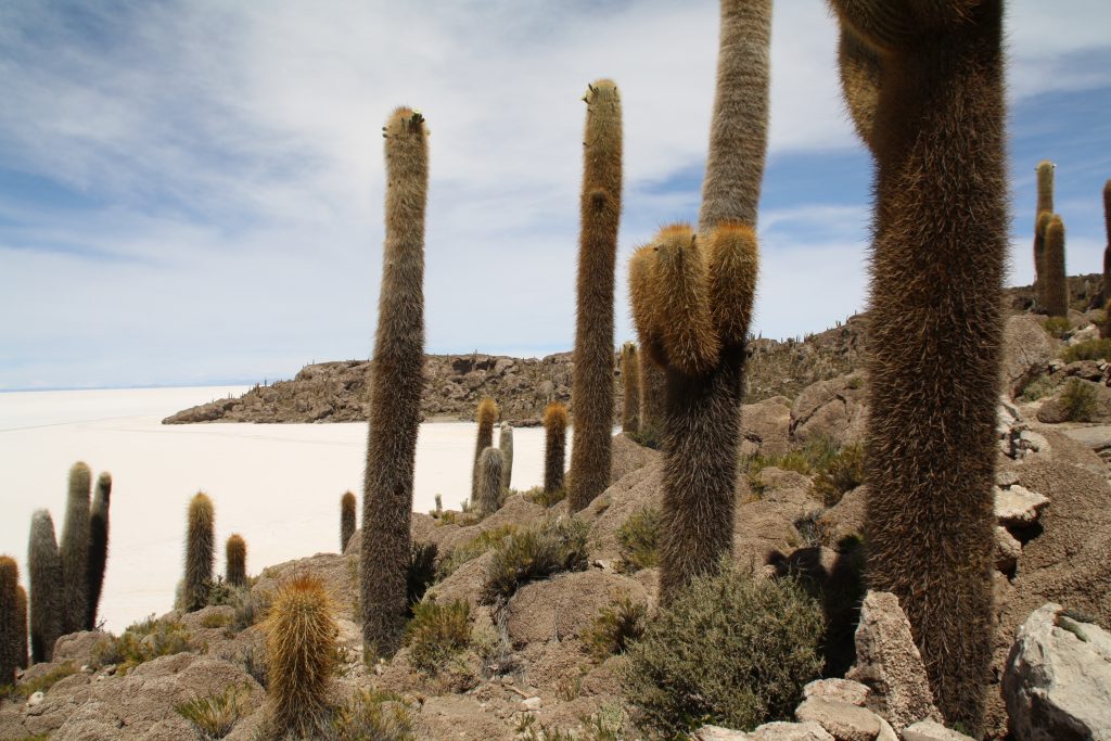 07-uyuni7