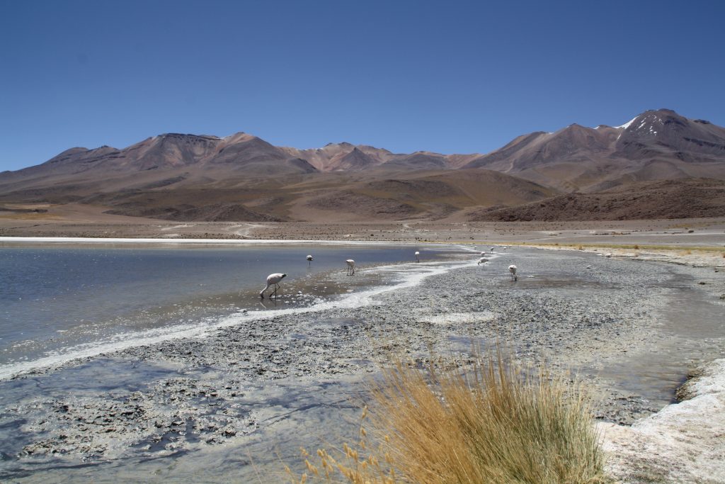 07-uyuni8