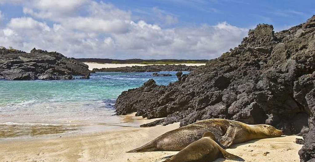 Galapagos1