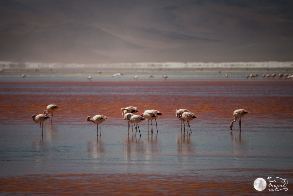 Bolivia