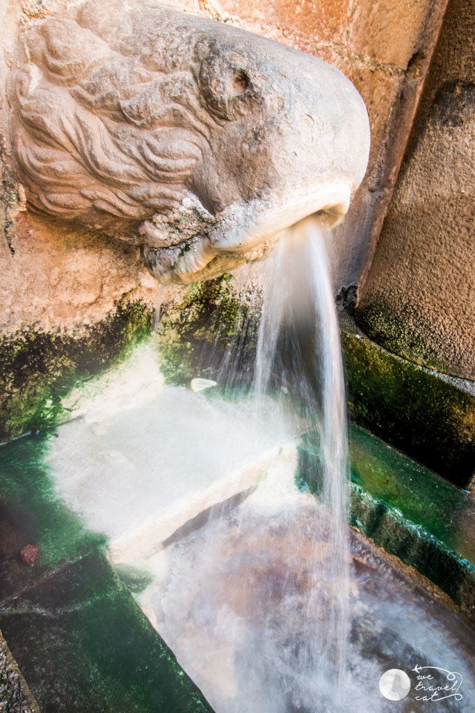 La font del Lleó de Caldes de Montbui 