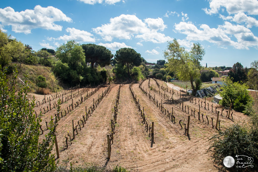 Badalona desconeguda: el barri de Canyet - wetravel.cat
