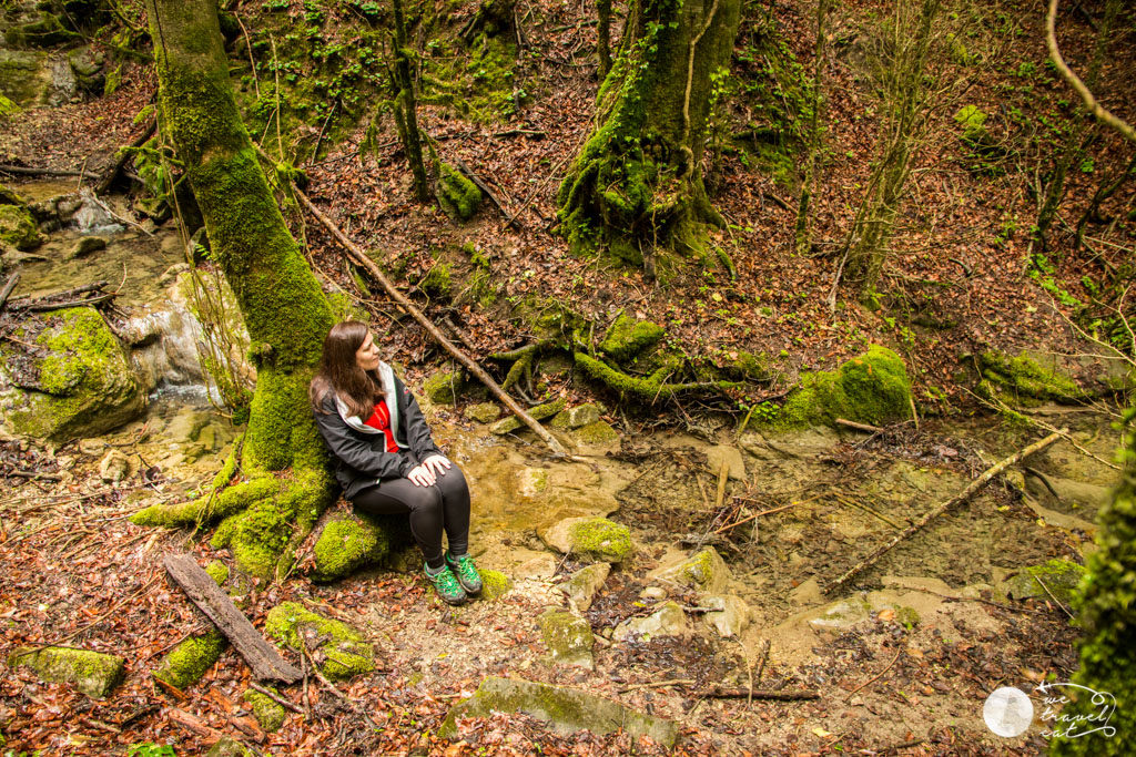 Bany de bosc a Vidrà - wetravel.cat