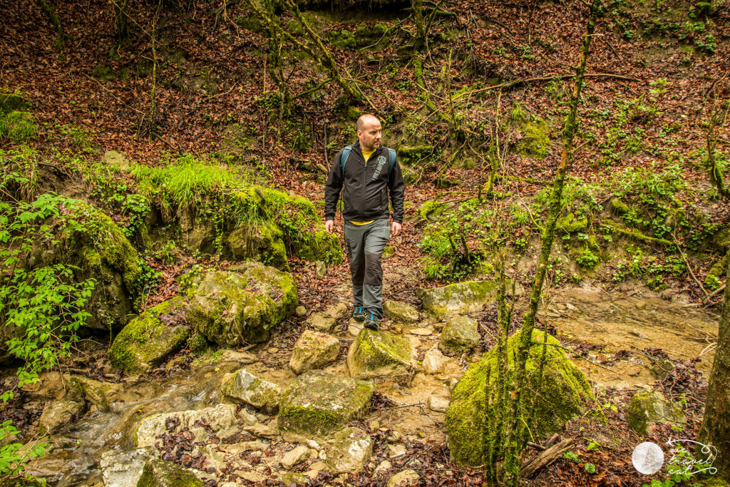 Bany de bosc a Vidrà - wetravel.cat