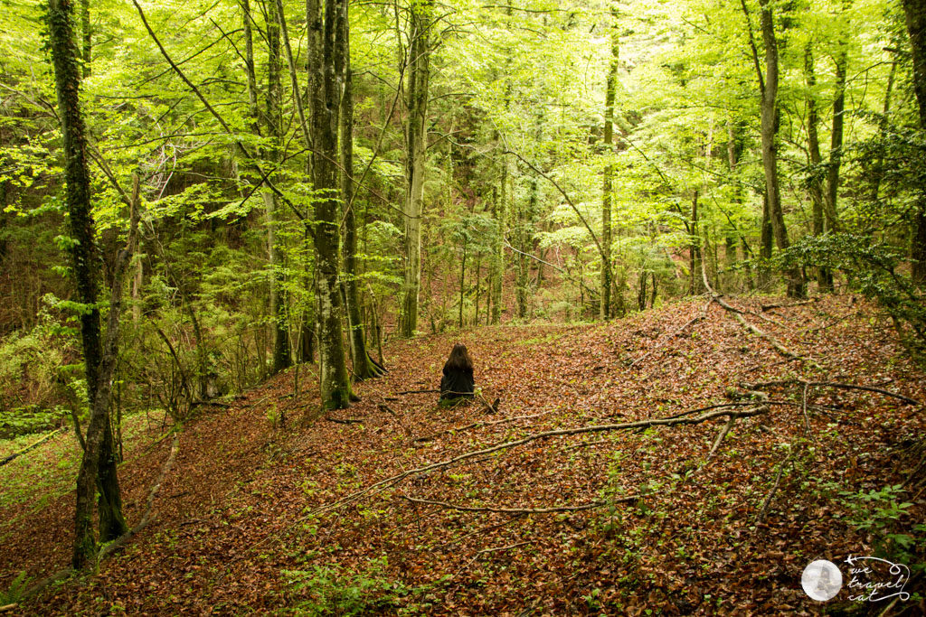 Bany de bosc a Vidrà - wetravel.cat
